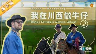 我在川西做牛仔② Being a Cowboy in Western Sichuan【熊猫观察】