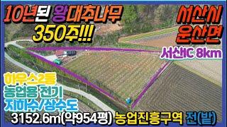 {매물번호 2-506} #10년된 왕대추나무 약350주#}서산IC 약12분, 토지약954평+왕대추나무 350주+하우스2동+지하수+상수도+일반전기+농업용전기. 농업경영체, 농지대장.