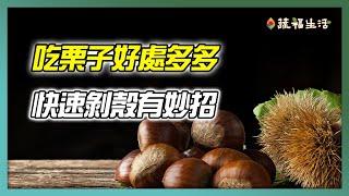 吃栗子好處多！快速剝殼有妙招｜蔬福生活｜栗子｜chestnuts