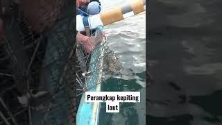 Menangkap kepiting Laut