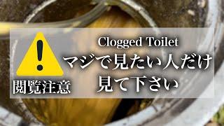 コレがトイレ詰まり！見たい人だけ見て下さい！！【メインチャンネルで非公開になった動画】