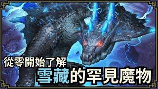 魔物獵人回憶錄 轉瞬即逝的魔物，可能以後再也見不到了，共15選