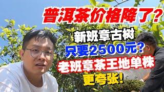 普洱茶价格降了？新班章古树只要2500元？老班章茶王地单株更夸张！购茶请加微信/赖line2号店：HDLG002（同号，搜索即可）#普洱茶 #茶文化 #普洱茶要怎么泡 #古树茶#茶#茶叶#茶葉#古樹茶