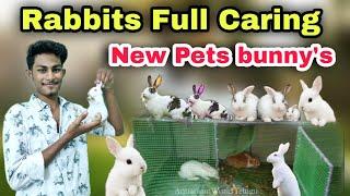 Rabbits Caring in Telugu : How to Care Baby Bunny : New Pet   Aquarium World Telugu