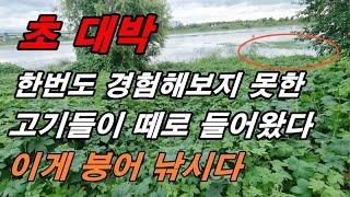 쉬지않는 피아노 줄소리//초대박 수초포인트 공략#big fishing#얼레채비