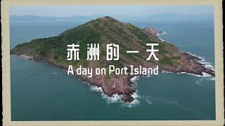 赤洲的一天（2024年12月） A Day on Port Island, December 2024