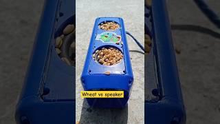 Wheat  vs MZ Portable Bluetooth Speaker Bass Test 