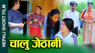 चालु जेठानी (Chalu Jethani) Nepali Short Movie Clever Elder Sister Ft. Sunita/Sandhya/Paru 2024/2081