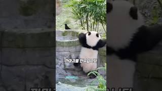 첫만남은 너무 어려워‍⬛‍⬛