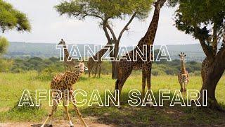 African safari in Tanzania | Tarangire National Park | Lake Manyara