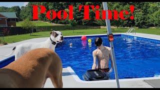 Pool time with pups!