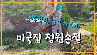 미국집 뒤뜰과 정원관리법/나무 자르기, 모래깔기, 탑건 매브릭 영화관람