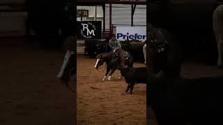  Bold Cowboy Steals the Show: Cutting Horse Competition Highlights Horse Whispers, Horse videos,