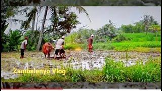 Lets Grow Together Live zambalenyo  vlog