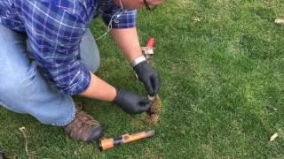 Metal Detecting Tips: Digging Targets in 10-15 seconds.