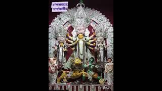 Bagbazar Sarbojonin #shorts #short #shortsviral #viralvideos #durgapuja #videos #video #viralshorts