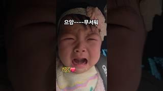 이렇게 무섭다고? 대체 뭘 보고? 울음이 터진 아기 리아️ (오빠들은 신남 ㅋ) #한평가족 #baby #육아 #리아 #삼남매