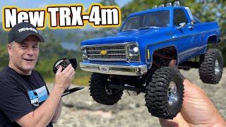 King Of Mini Scale Trucks?! Traxxas TRX-4m High Trail Chevrolet K10