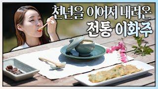 [숏클립] 천년을 이어져 내려온 전통 이화주 만들기 (2020.05.06, 수)