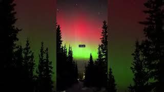 The aurora changes more than you think. #auroraborealis  #northernlights #nightsky