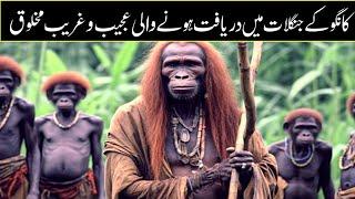 5 Creepy Discoveries in Congo That Terrified the World In Urdu Hindi