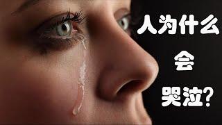 科普：为什么人会哭泣？【Hi科普啦】