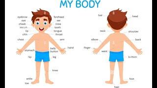 Learn English For Kids - Parts Of Our Body