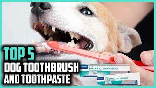 5 Best Dog Toothbrush And Toothpaste of 2024