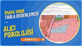 TARLA FİYAT YORUMLAMASI UZMANLARININ SIRLARI!