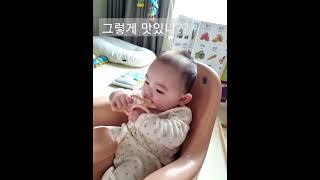 5개월 해솔 치발기 먹방