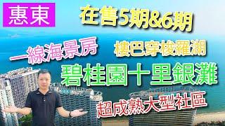 【飛說】惠州 惠東 碧桂園十里銀灘【港致置業】一線海景房、自帶樓巴穿梭羅湖！超成熟大型社區、在售5期&6期 @港致置業 ​