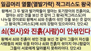 계시록 대환란 때는 마귀가 그들의 씨를 사람들과 섞으려 한다ㆍ단2:31~45