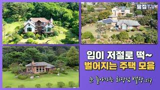 입이 떠~억 벌어지는 회장님 별장들