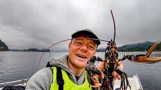 2 brothers fishing and camping Norway. CONGER EEL | MONKFISH | LOBSTERS and much more