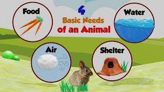 The Needs of an Animal | Needs of Living Things | Animal Needs | Basic Needs of Animal for Kids