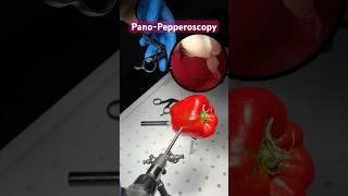 Using the PanoScope to practice with a Pepper