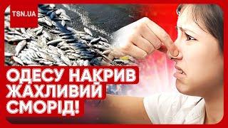 ПЕКЕЛЬНИЙ СМОРІД В ОДЕСІ! Люди шоковані: "Покривалом не треба накритись?!"