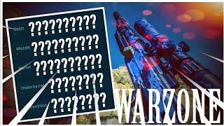 (AFTER NERF) *NEW* BEST SPR-208 SETUP! for Warzone