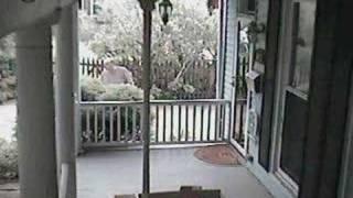 Neighbor Throws POOP