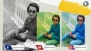 Gilgiti New Song || Lyrics Naseer Ahmed Vocal Naseer Ahmed & Waleed Ahmed || GB New Songs 2021