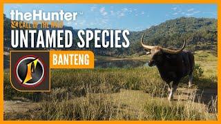 Untamed Species: Banteng with Flinter | theHunter: Call of the Wild