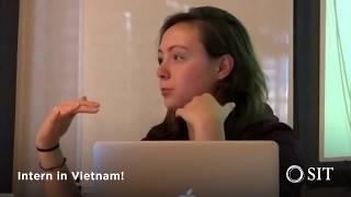 Intern at an NGO in Vietnam This Summer with SIT Study Abroad