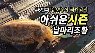 시즌끝물을 알리는 갑오징어낚시(Cuttlefish Eging fishing) 안면도 좌대 6번째도전