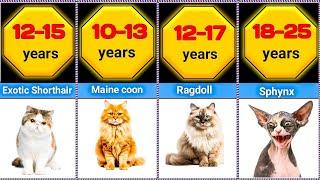 Comparison : 100 Cat Breeds & Their Lifespans!