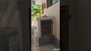 2 bedroom 2 bathroom rent house  #malayalam