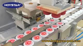 Full Automatic 1 Color Bottle Caps Pad Printing Machine (4800PCS/Hr)