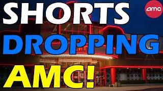 AMC MARKET LEADER! SHORTS DROPPING! Short Squeeze Update