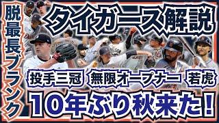 【MLB】2024年ポストシーズン開幕直前解説！タイガース編！