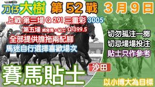 賽馬貼士 第52戰 3月9日 刀仔大樹香港賽馬貼士頻道 赛马贴士