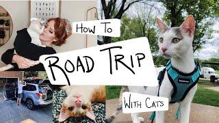 Everything You Need For ROAD TRIPPING With Your Cats! - (Cat Travel tips)